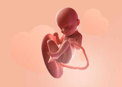 1685696142987552.jpg qidaigan.jpg