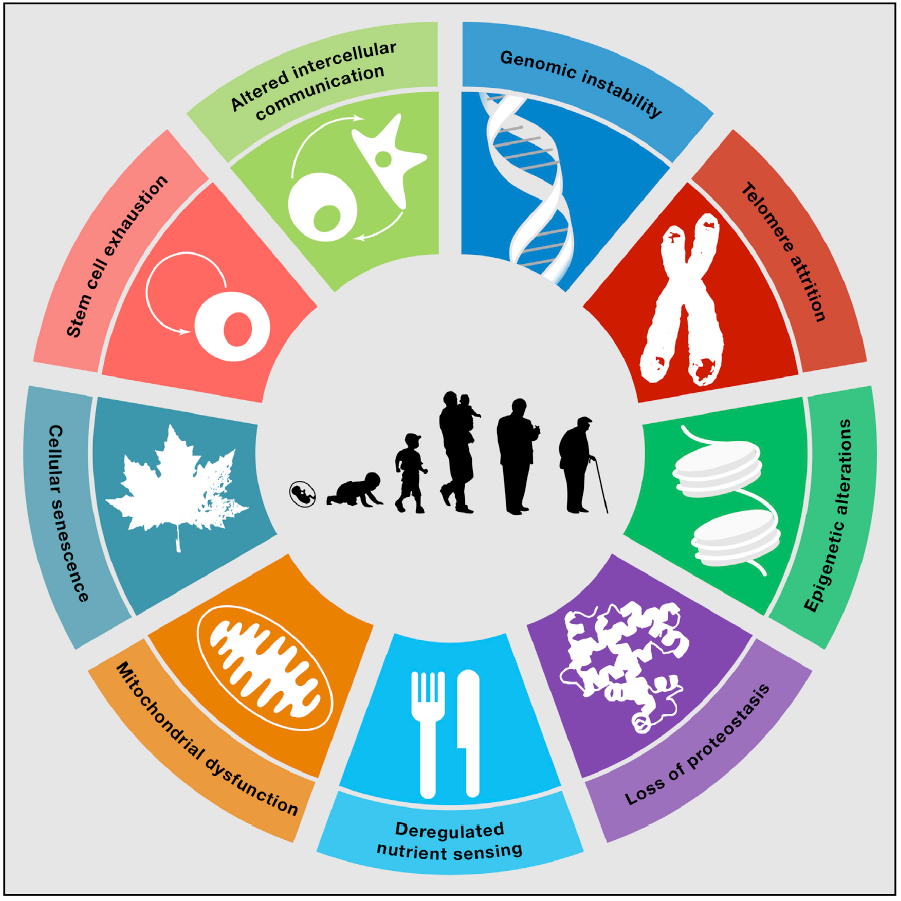 1685696456222207.png 640.png