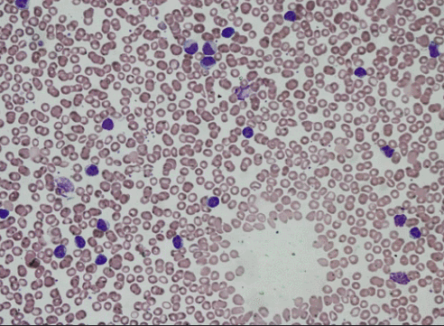 1686551313655087.gif 640.gif