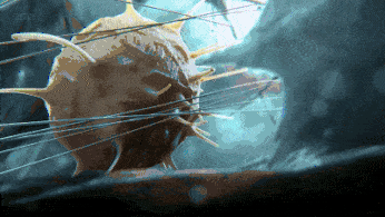 1687318236102500.gif 640 (2).gif