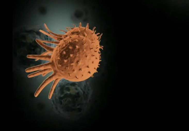 1687318326878476.png 640.png