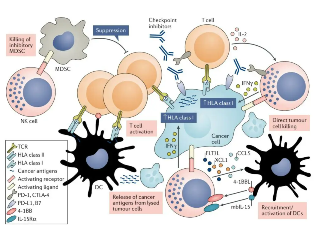 1687318580188037.png 微信圖片_20230615104200.png