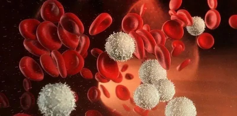 1687330348213806.jpg 640 (11).jpg