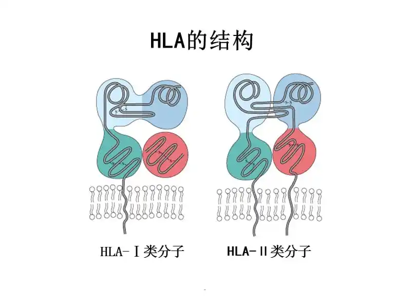 1687330361165816.png 640 (5).png