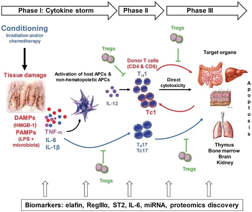 1687330387108662.jpg 640 (4).jpg