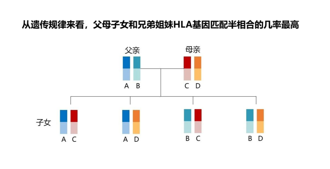 1687330434846017.png 640 (6).png