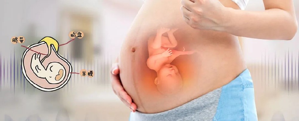 1687659863712402.jpg 640.jpg