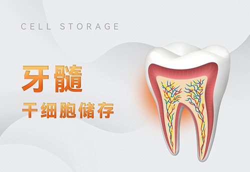 1687660541330527.jpg 1662522272487138.jpg