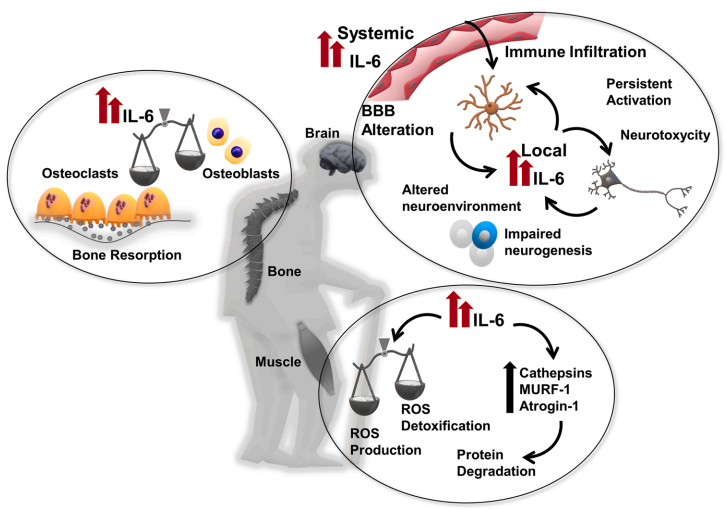 1687660989142747.png 640 (16).png