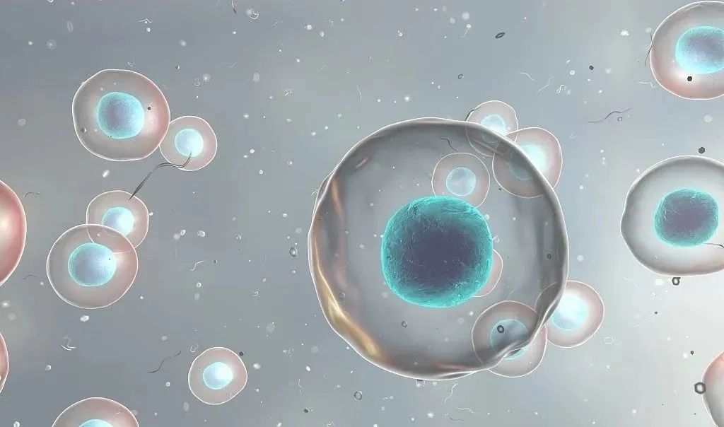 1687661190249019.jpg 640 (11).jpg