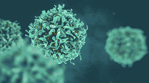 1687661246113317.gif 640 (2).gif