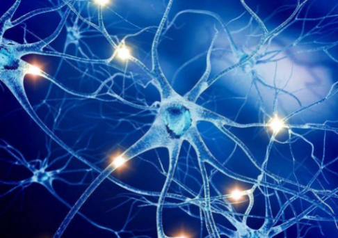 1689997454149285.png 1688713591699.png