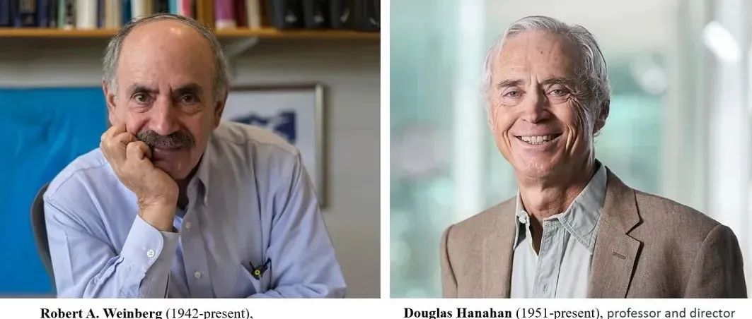 1689997660209079.jpg 640 (1).jpg