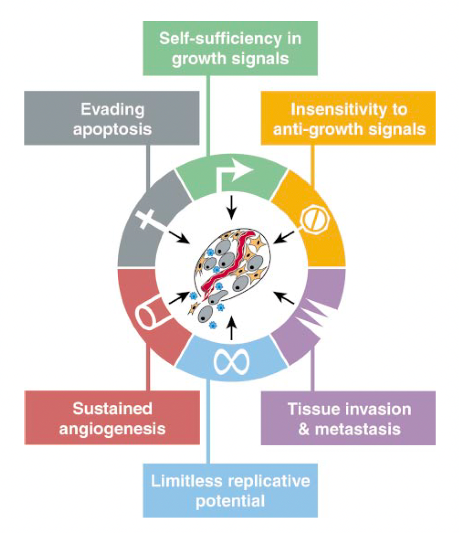 1689997679185520.png 640 (3).png