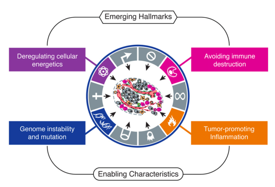 1689997707175888.png 640 (4).png