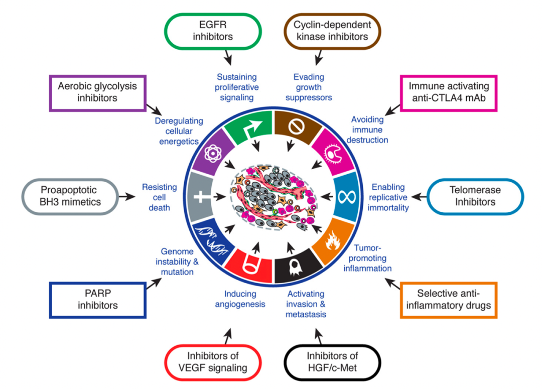 1689997720156115.png 640 (5).png