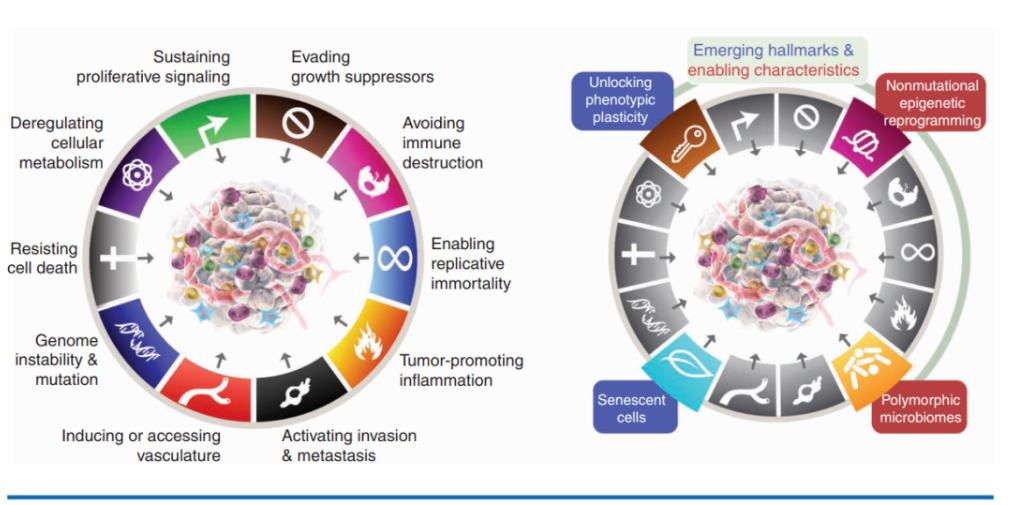 1689997739252854.png 640 (6).png