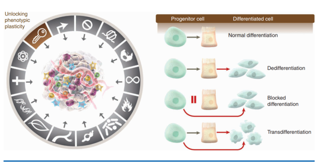 1689997759182886.png 640 (7).png