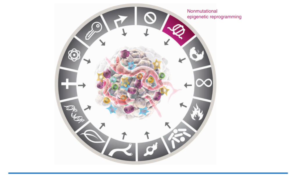 1689997792279745.png 640 (8).png