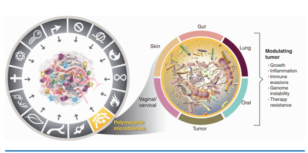 1689997809235280.png 640 (9).png