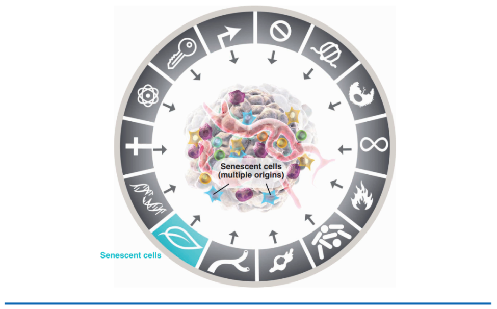 1689997816109984.png 640 (10).png