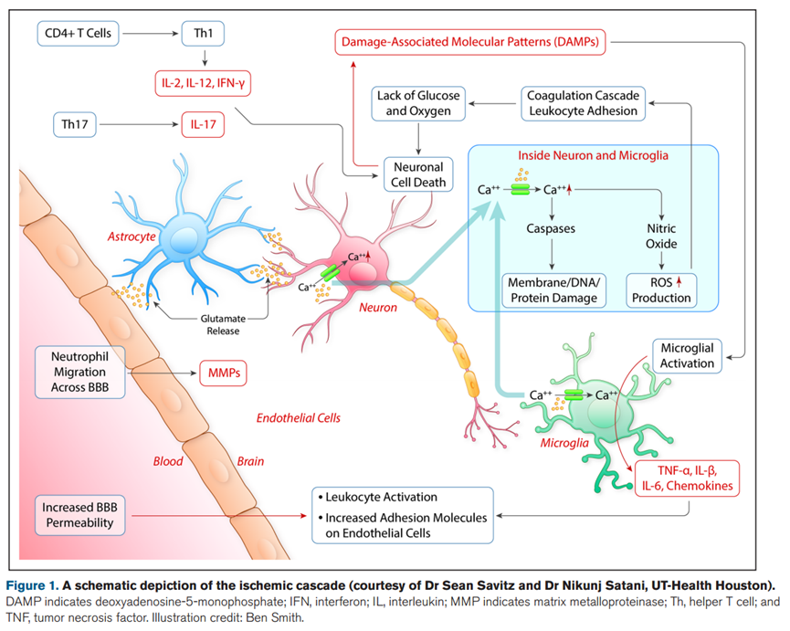 1689998230124324.png 640 (2).png