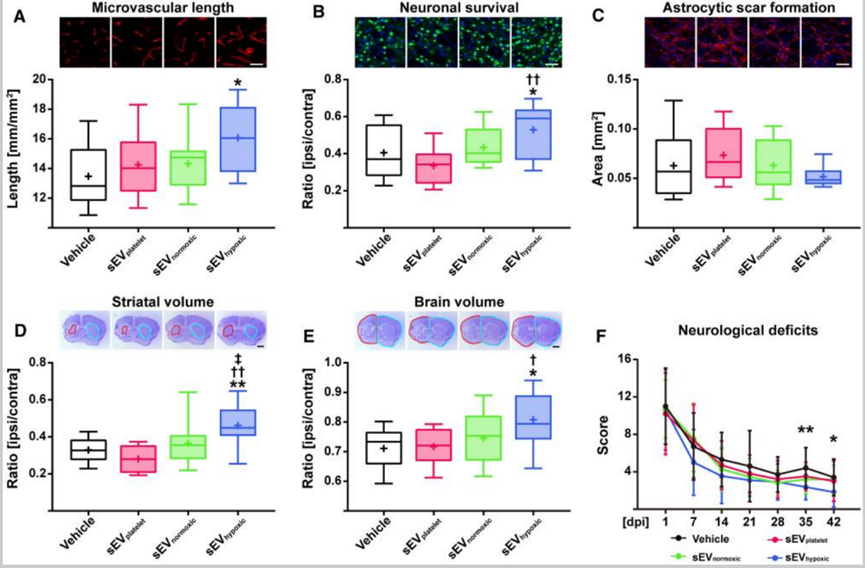 1689998282121126.png 640 (5).png