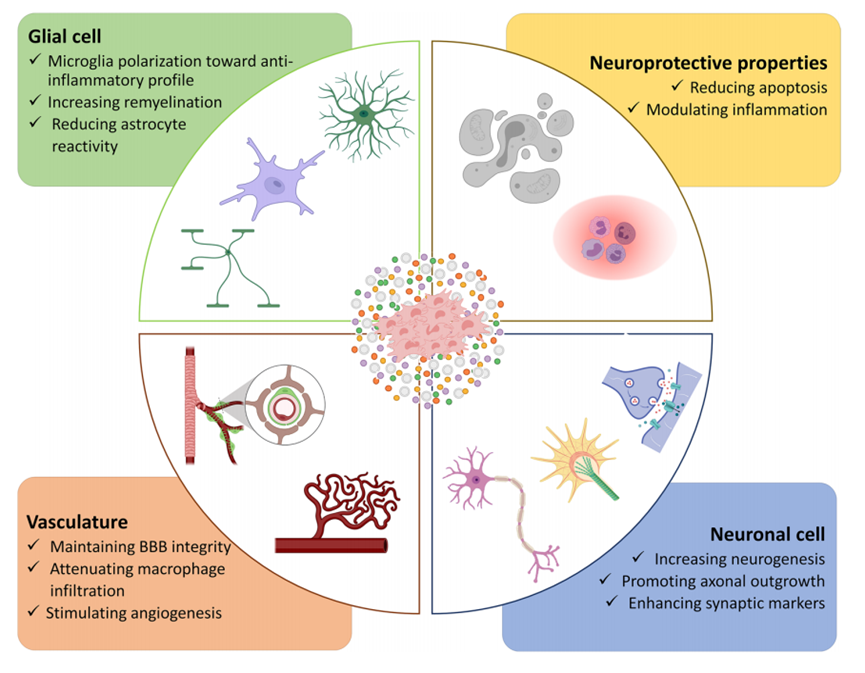 1689998296806876.png 640 (6).png