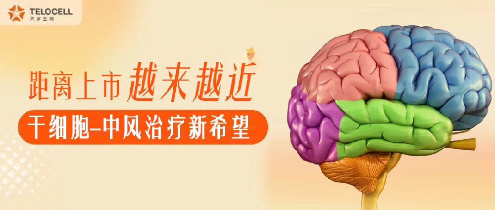 距離上市越來越近！中國有望迎來間充質(zhì)干細胞治療中風的時代！