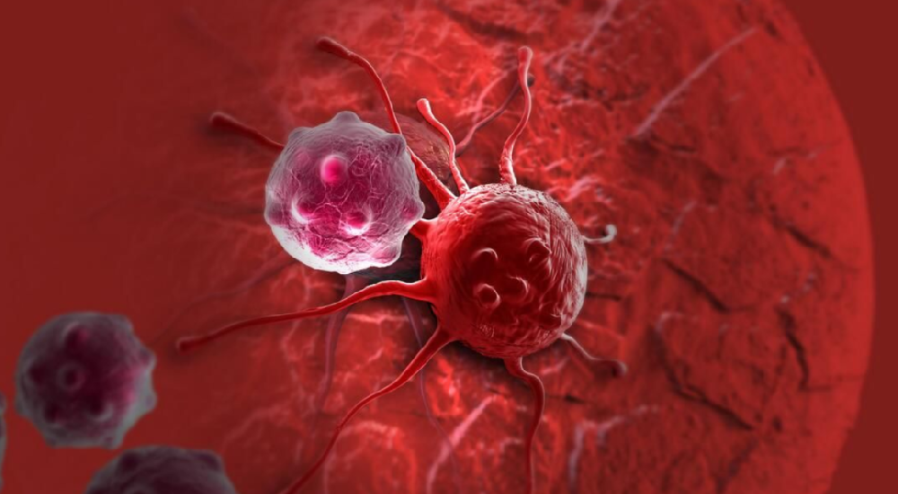 1690008908189692.png 640 (20).png