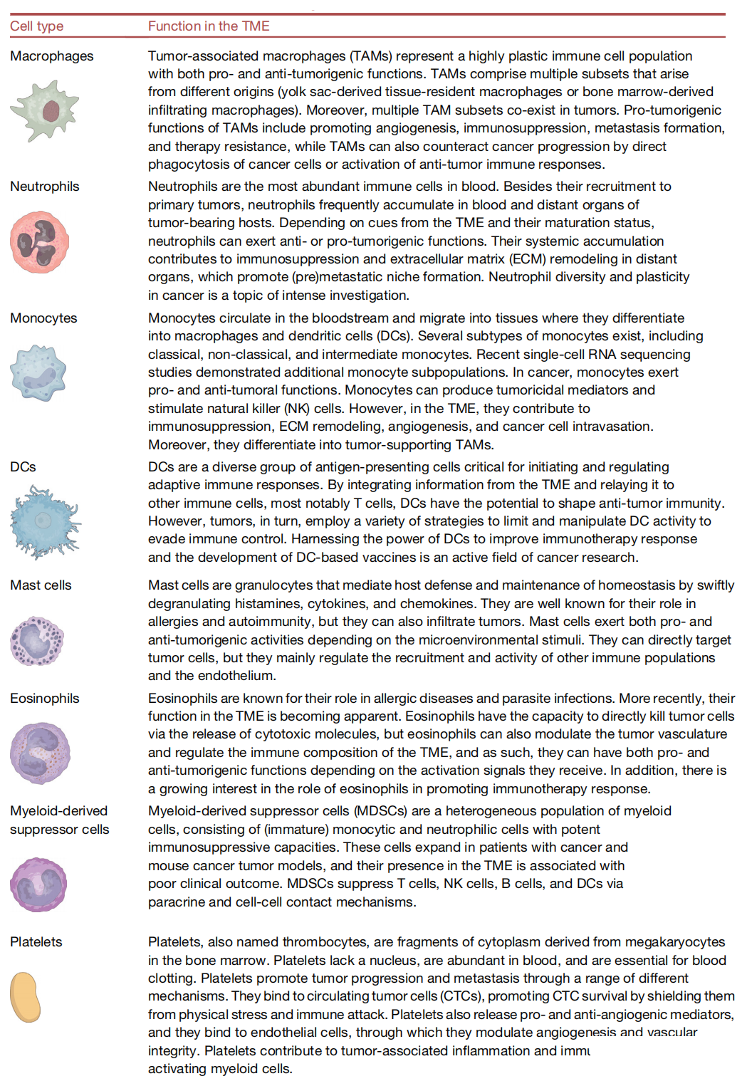 1690009051119728.png 640 (11).png