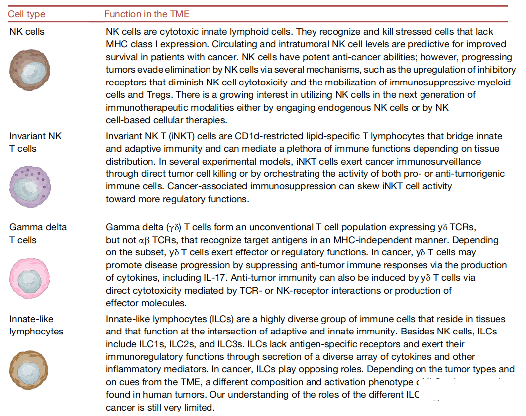 1690009097617157.png 640 (12).png