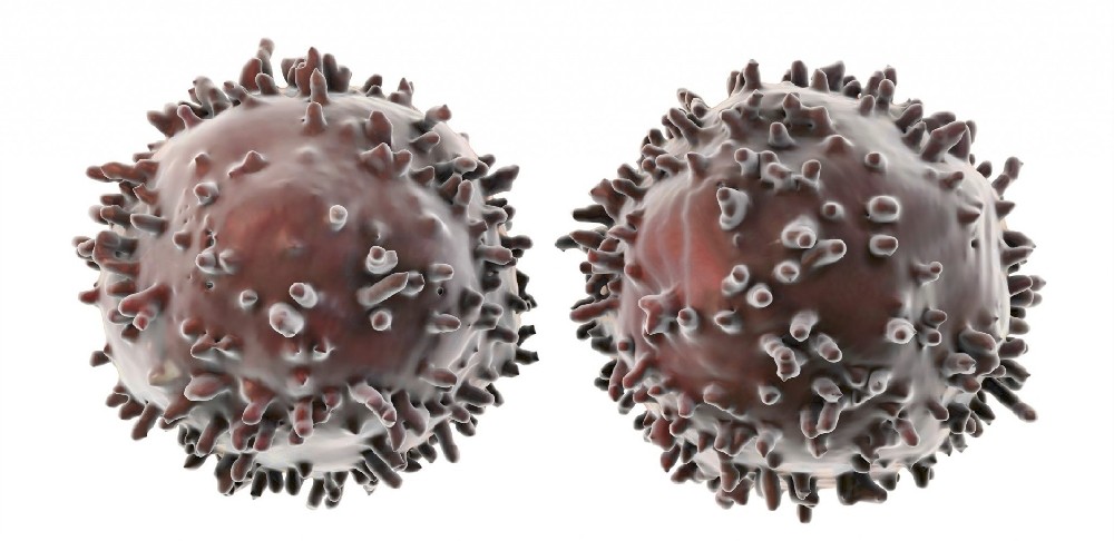 免疫細胞也會“精疲力盡”，如何讓它“滿血復(fù)活”？