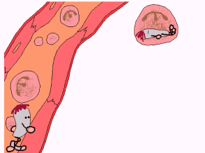 1690010037146086.gif 640.gif