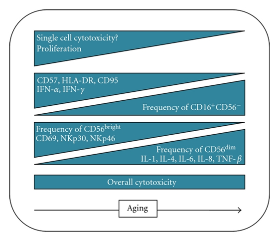 1690010045172952.png 640 (1).png