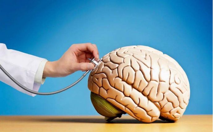 1692947205189384.png 1692326863777.png