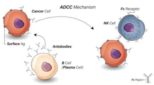 1692951898800455.png 微信圖片_20230823143703_1.png