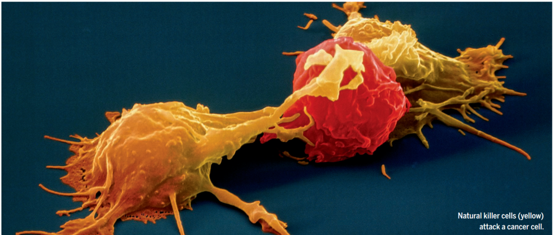 1692951964210915.png 微信圖片_20230823143703_3.png