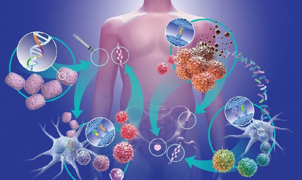 1693466194976200.png 640 (1).png