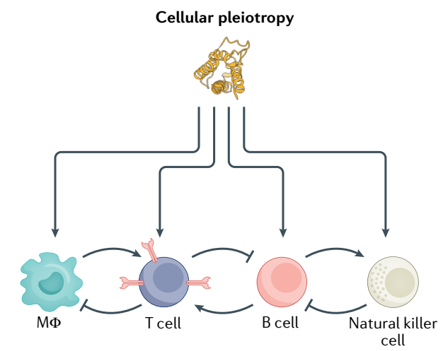 1693466272163521.png 640 (6).png