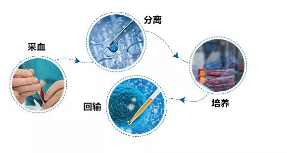 1693466308123708.jpeg 8662e9b720884bce8069c39e3f034b40.jpeg