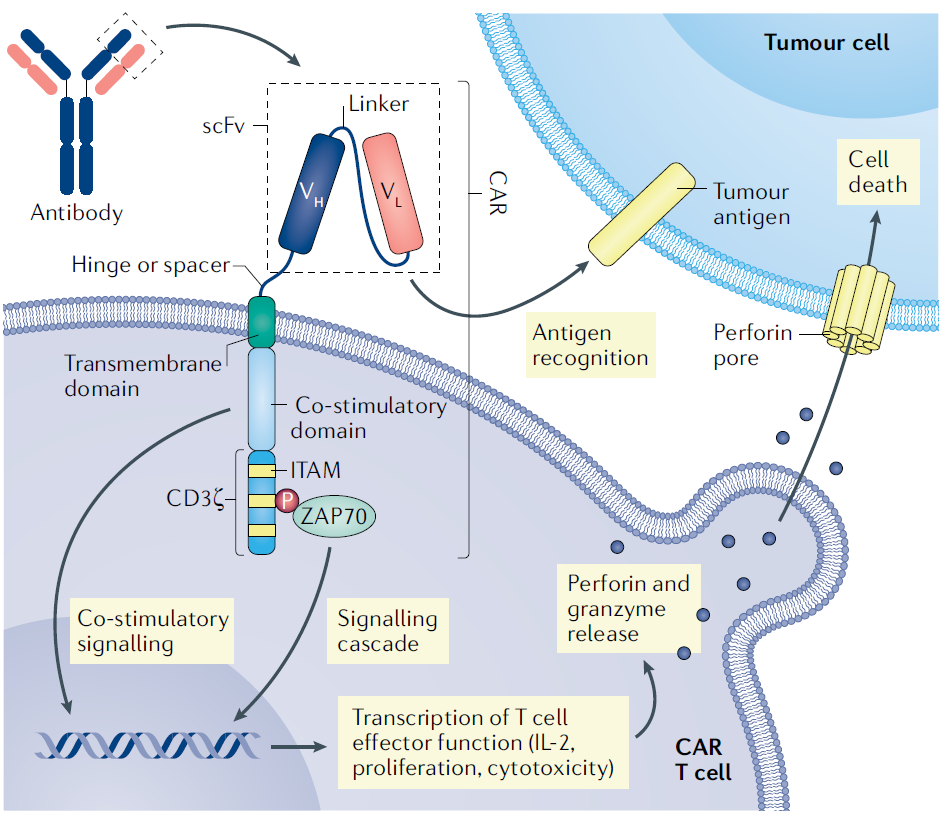 1693466317159606.png 640 (8).png