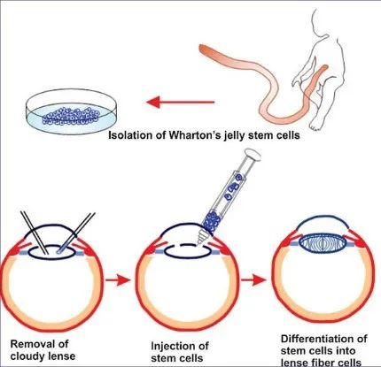 1693467008739867.jpg 640 (9).jpg