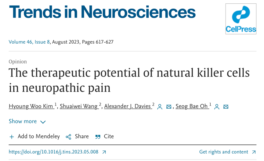 NK 細(xì)胞不僅對癌癥有效，還有潛力阻止帕金森病的進(jìn)展