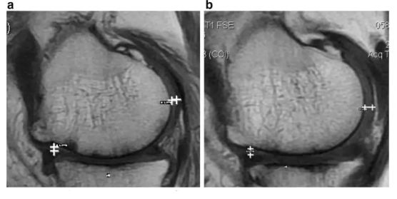 1694243770132496.jpg 640 (7).jpg