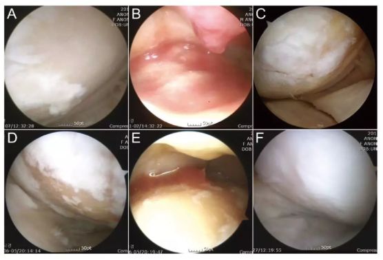 1694244116151687.jpg 640 (6).jpg