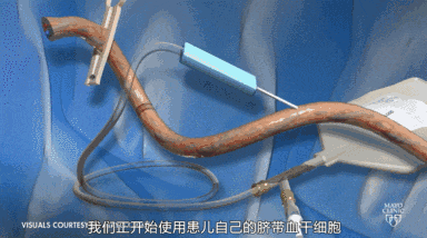 細(xì)胞療法將成為未來醫(yī)學(xué)主流選擇的10個(gè)理由