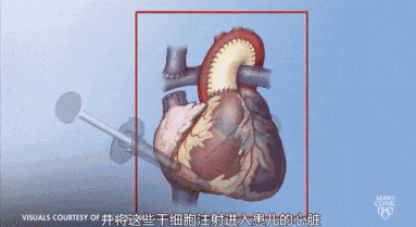 1697612289814979.gif 640.gif