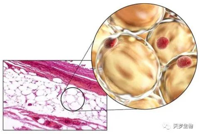 1698991133244340.png 1698991130110.png