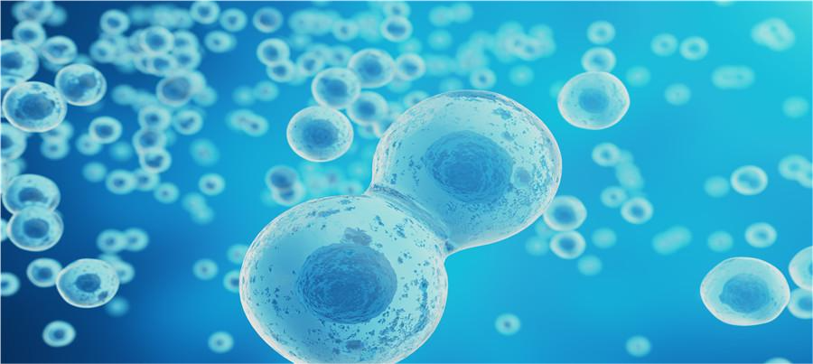 1699931800146413.png 29603a62ff97bde24633ff6bbfb5b9481796.png